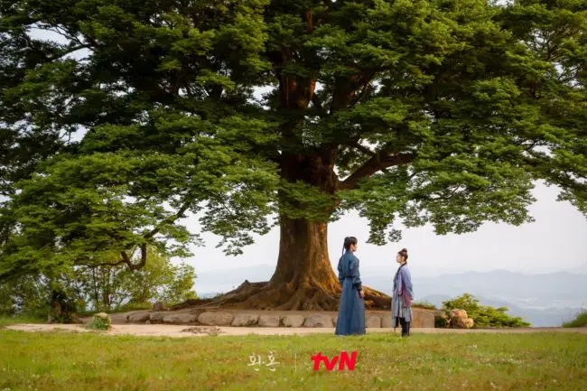 Mt. Seongheungsan Love Tree kdramadiary